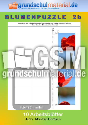 Blumenpuzzle_2b.pdf